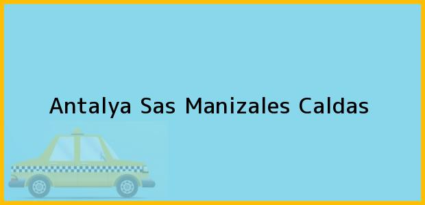 Teléfono, Dirección y otros datos de contacto para Antalya Sas, Manizales, Caldas, Colombia
