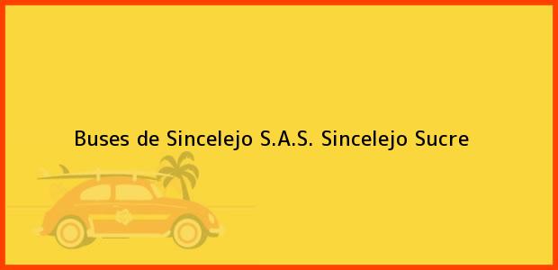 Teléfono, Dirección y otros datos de contacto para Buses de Sincelejo S.A.S., Sincelejo, Sucre, Colombia