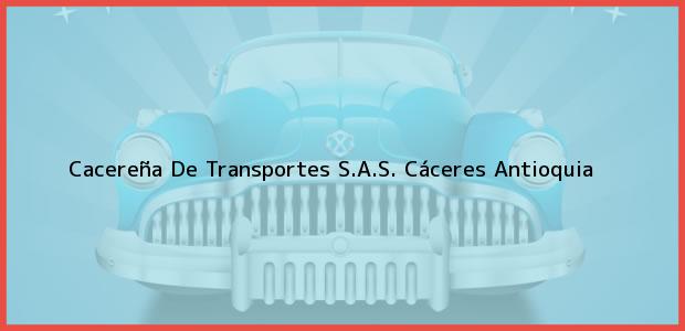 Teléfono, Dirección y otros datos de contacto para Cacereña De Transportes S.A.S., Cáceres, Antioquia, Colombia