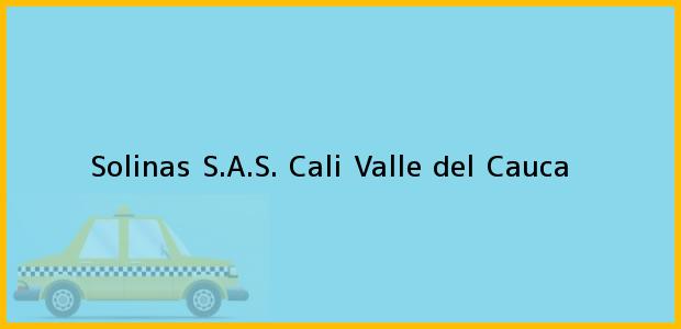 Teléfono, Dirección y otros datos de contacto para Solinas S.A.S., Cali, Valle del Cauca, Colombia