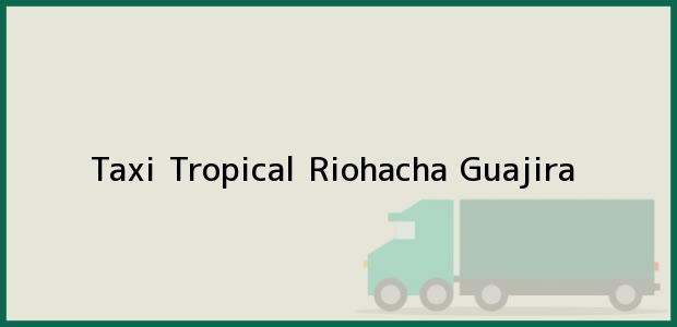 Teléfono, Dirección y otros datos de contacto para Taxi Tropical, Riohacha, Guajira, Colombia