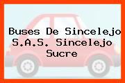 Buses De Sincelejo S.A.S. Sincelejo Sucre