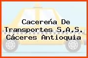 Cacereña De Transportes S.A.S. Cáceres Antioquia