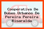 Cooperativa De Buses Urbanos De Pereira Pereira Risaralda