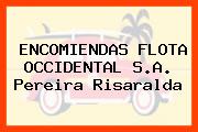 ENCOMIENDAS FLOTA OCCIDENTAL S.A. Pereira Risaralda