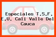 Especiales T.S.F. E.U. Cali Valle Del Cauca