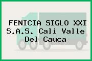 FENICIA SIGLO XXI S.A.S. Cali Valle Del Cauca