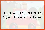 FLOTA LOS PUENTES S.A. Honda Tolima
