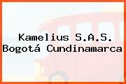 Ver kamelius sas bogota cundinamarca Kamelius S.A.S. Bogotá Cundinamarca