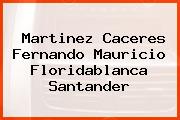 Martinez Caceres Fernando Mauricio Floridablanca Santander