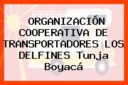 ORGANIZACIÓN COOPERATIVA DE TRANSPORTADORES LOS DELFINES Tunja Boyacá