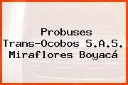 Probuses Trans-Ocobos S.A.S. Miraflores Boyacá