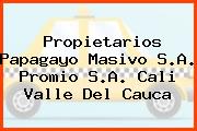 Propietarios Papagayo Masivo S.A. Promio S.A. Cali Valle Del Cauca