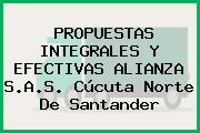 PROPUESTAS INTEGRALES Y EFECTIVAS ALIANZA S.A.S. Cúcuta Norte De Santander