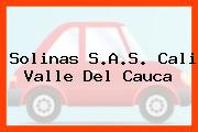 Solinas S.A.S. Cali Valle Del Cauca