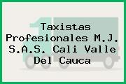 Taxistas Profesionales M.J. S.A.S. Cali Valle Del Cauca