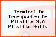 Terminal De Transportes De Pitalito S.A Pitalito Huila