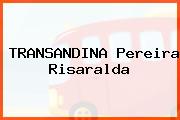 TRANSANDINA Pereira Risaralda