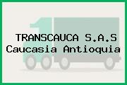 TRANSCAUCA S.A.S Caucasia Antioquia