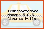 Transportadora Macepe S.A.S. Gigante Huila