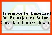 Transporte Especial De Pasajeros Sylma Sas San Pedro Sucre