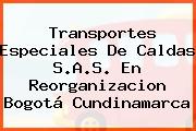 Transportes Especiales De Caldas S.A.S. En Reorganizacion Bogotá Cundinamarca