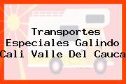 Transportes Especiales Galindo Cali Valle Del Cauca