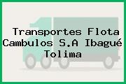 Transportes Flota Cambulos S.A Ibagué Tolima