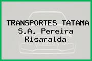 TRANSPORTES TATAMA S.A. Pereira Risaralda