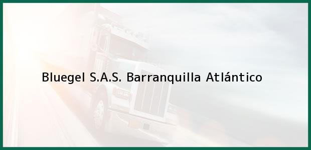 Teléfono, Dirección y otros datos de contacto para Bluegel S.A.S., Barranquilla, Atlántico, Colombia