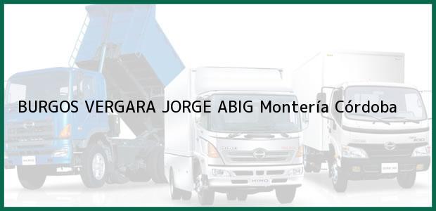 Teléfono, Dirección y otros datos de contacto para BURGOS VERGARA JORGE ABIG, Montería, Córdoba, Colombia