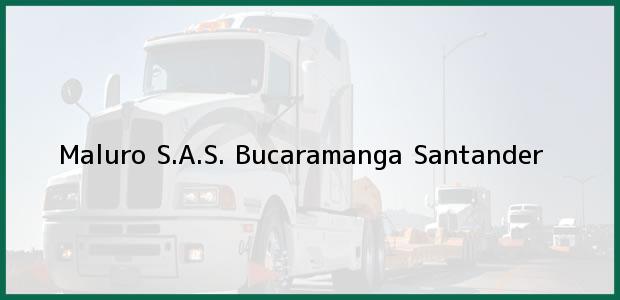 Teléfono, Dirección y otros datos de contacto para Maluro S.A.S., Bucaramanga, Santander, Colombia