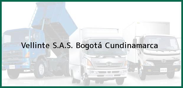 Teléfono, Dirección y otros datos de contacto para Vellinte S.A.S., Bogotá, Cundinamarca, Colombia
