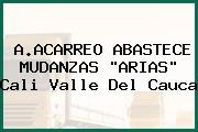 A.ACARREO ABASTECE MUDANZAS 