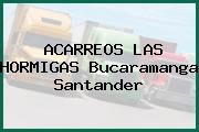 ACARREOS LAS HORMIGAS Bucaramanga Santander