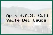 Apix S.A.S. Cali Valle Del Cauca