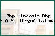 Bhp Minerals Bhp S.A.S. Ibagué Tolima