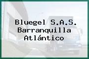 Bluegel S.A.S. Barranquilla Atlántico