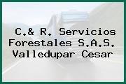 C.& R. Servicios Forestales S.A.S. Valledupar Cesar