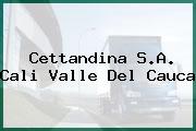 Cettandina S.A. Cali Valle Del Cauca