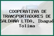 COOPERATIVA DE TRANSPORTADORES DE SALDAÑA LTDA. Ibagué Tolima