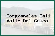 Corgraneles Cali Valle Del Cauca