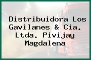 Distribuidora Los Gavilanes & Cia. Ltda. Pivijay Magdalena