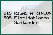 DISTRIGAS A RINCON SAS Floridablanca Santander
