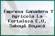 Empresa Ganadera Y Agricola La Fortaleza E.U. Saboyá Boyacá