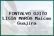 FONTALVO OJITO LIGIA MARÚA Maicao Guajira