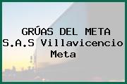 GRÚAS DEL META S.A.S Villavicencio Meta