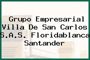 GRUPO EMPRESARIAL VILLA DE SAN CARLOS SAS Floridablanca Santander