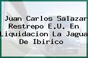 Juan Carlos Salazar Restrepo E.U. En Liquidacion La Jagua De Ibirico 
