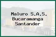 Maluro S.A.S. Bucaramanga Santander